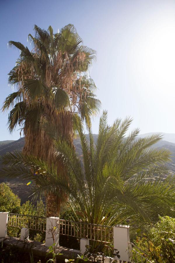 La Flecha Hostel Abrucena Exteriér fotografie